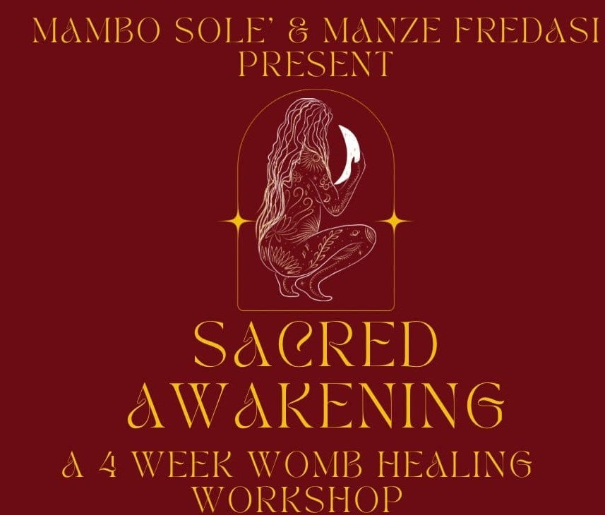 Sacred Awakening Workshop Winter 2024 (Videos Only)